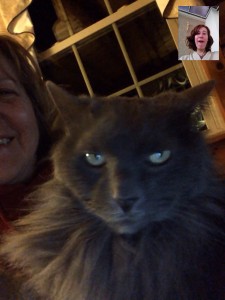 Video chat with Fluffy