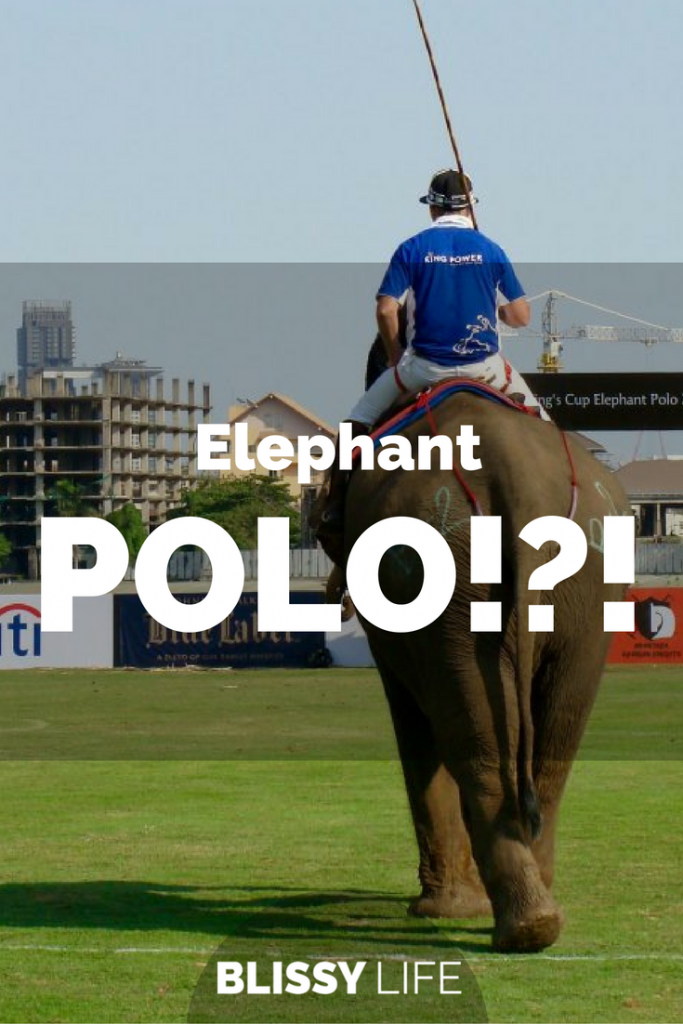 elephant-polo