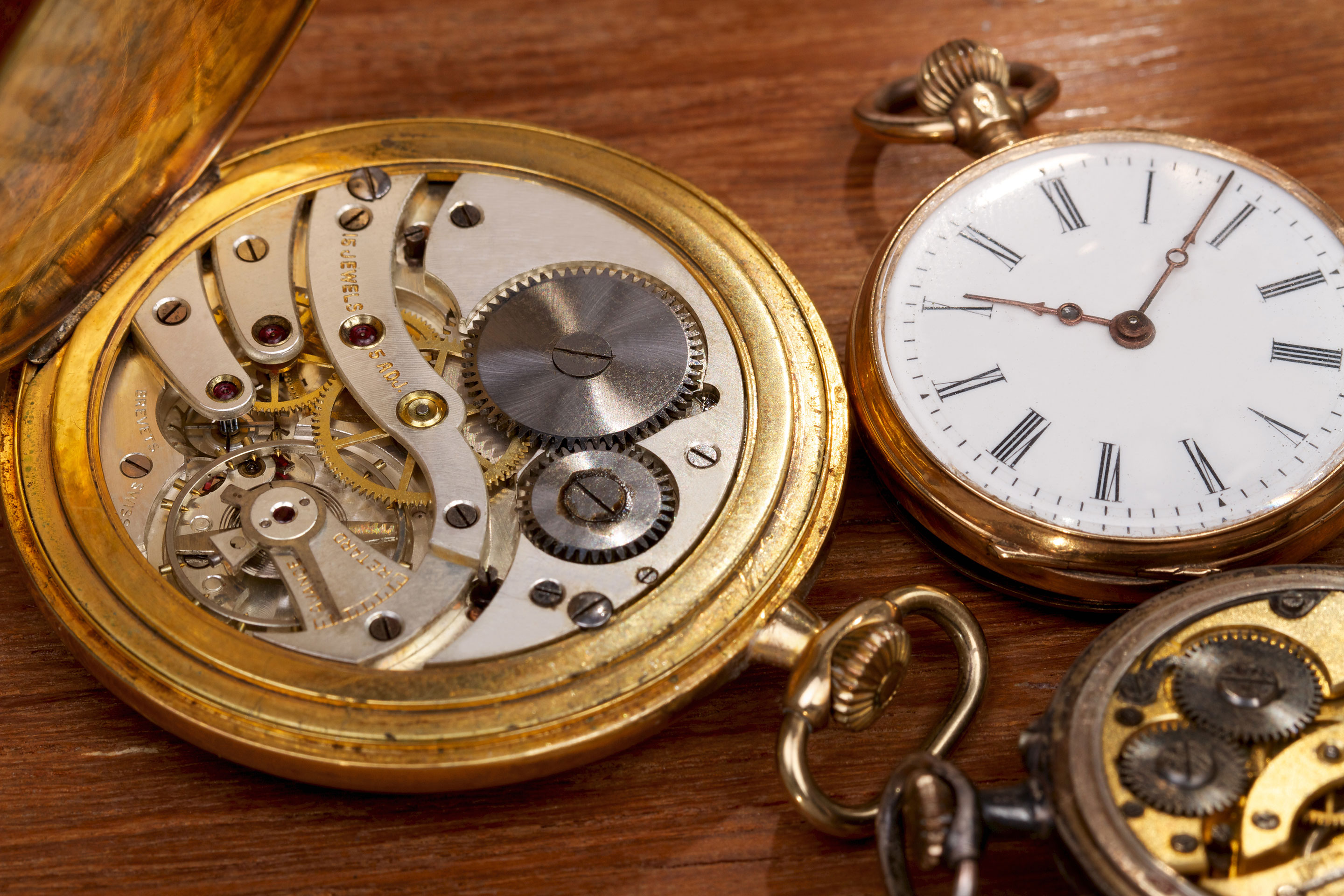 Village watch. Старинные карманные часы с шатленом. Часы Сток. The Watchmaker. Часовщик ретро.
